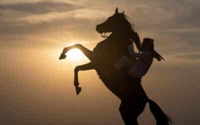 Accident d’équitation