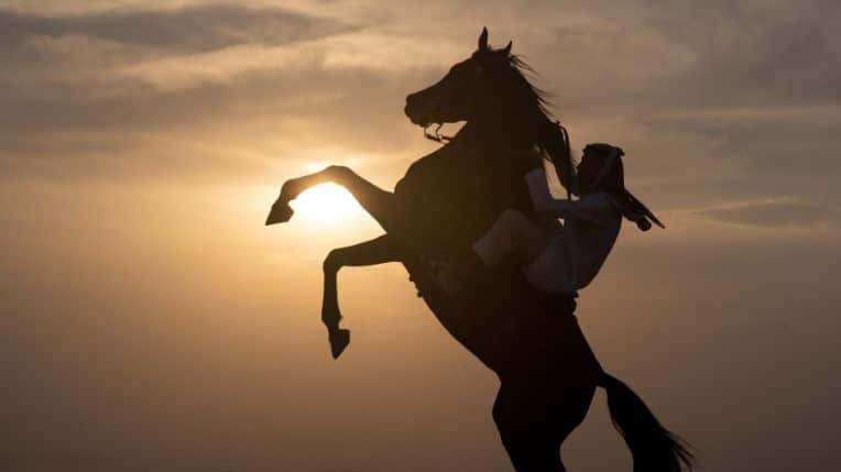 accident équitation cheval